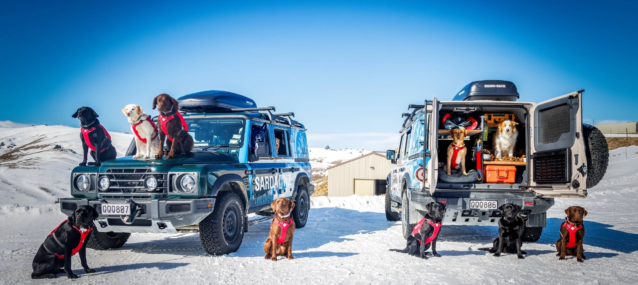 Ineos partnering with Sarda rescue dogs